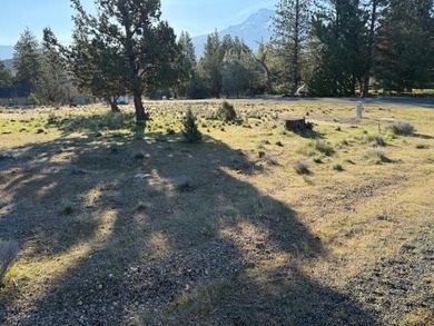 This is a premium lot, with gorgeous homes all around. One block - photo 4