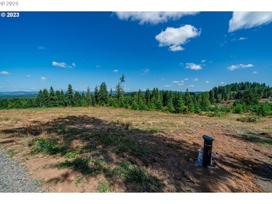 Introducing Delta Vista Community, which features a stunning new - photo 5