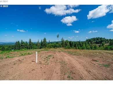 Introducing Delta Vista Community, which features a stunning new - photo 6