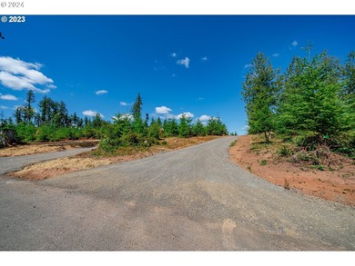 Introducing Delta Vista Community, which features a stunning new - photo 7