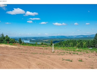 Introducing Delta Vista Community, which features a stunning new - photo 8