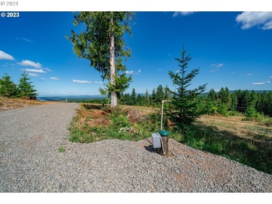 Introducing Delta Vista Community, which features a stunning new - photo 9