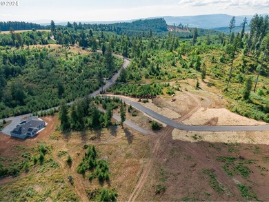 Introducing Delta Vista Community, which features a stunning new - photo 10