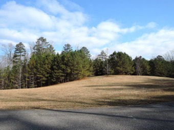 Estate Size Off Water Lot! SOLD - Lake Lot SOLD! in Double Springs, Alabama