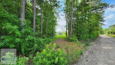 Lake Lot Sale Pending in Midway, Georgia