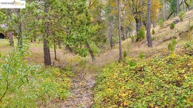 Your Dream Yosemite Mountain Getaway in Groveland, CA! Escape to - photo 14