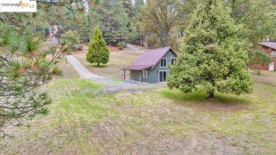 Your Dream Yosemite Mountain Getaway in Groveland, CA! Escape to - photo 15