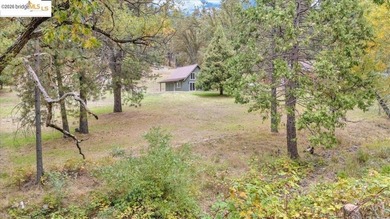 Your Dream Yosemite Mountain Getaway in Groveland, CA! Escape to - photo 16