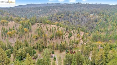 Your Dream Yosemite Mountain Getaway in Groveland, CA! Escape to - photo 19