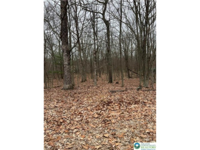 Lake Lot For Sale in Pike, Pennsylvania
