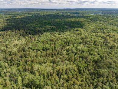 Star Lake - Crow Wing County Acreage For Sale in Ideal Twp Minnesota