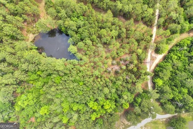 Don't miss this rare opportunity to own over 5 private acres on - photo 13