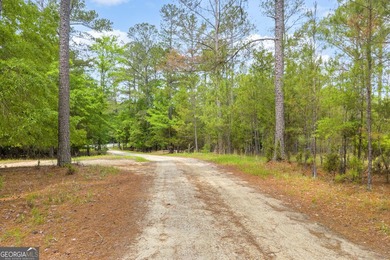 Don't miss this rare opportunity to own over 5 private acres on - photo 14