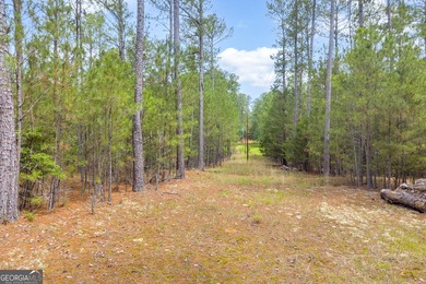 Don't miss this rare opportunity to own over 5 private acres on - photo 15
