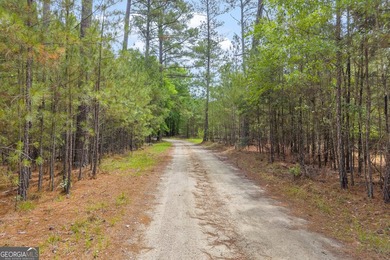 Don't miss this rare opportunity to own over 5 private acres on - photo 16