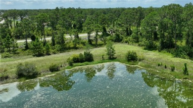 Lake Lot For Sale in Lehigh Acres, Florida