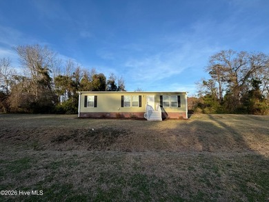 This stunning 3-bedroom, 2-full-bathroom manufactured home - photo 1