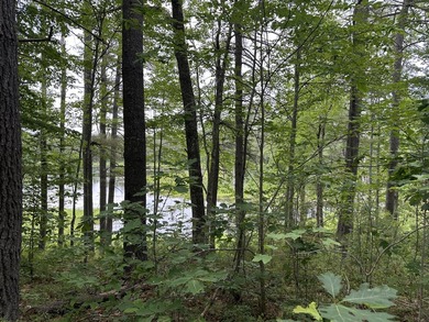 Unique opportunity to own 4.65 acres of buildable land with an - photo 1