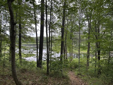 Unique opportunity to own 4.65 acres of buildable land with an - photo 2
