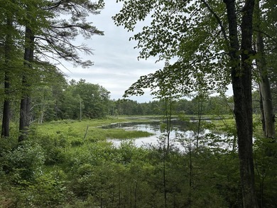 Unique opportunity to own 4.65 acres of buildable land with an - photo 3