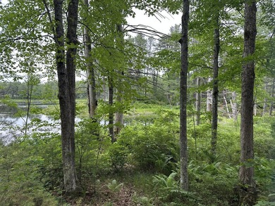 Unique opportunity to own 4.65 acres of buildable land with an - photo 4