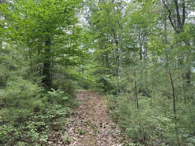 Unique opportunity to own 4.65 acres of buildable land with an - photo 6