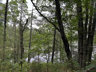 Unique opportunity to own 4.65 acres of buildable land with an - photo 7