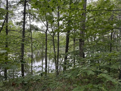 Unique opportunity to own 4.65 acres of buildable land with an - photo 8