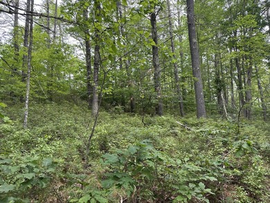 Unique opportunity to own 4.65 acres of buildable land with an - photo 9