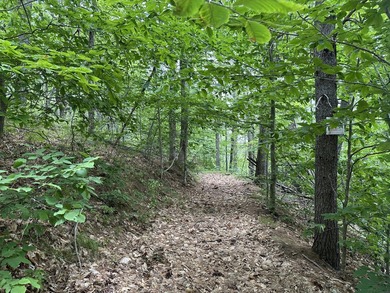 Unique opportunity to own 4.65 acres of buildable land with an - photo 10