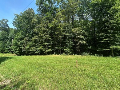 Watts Bar Lake Lot For Sale in Ten Mile Tennessee