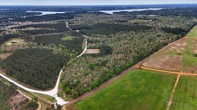 Lake Nacogdoches Ranch - photo 14