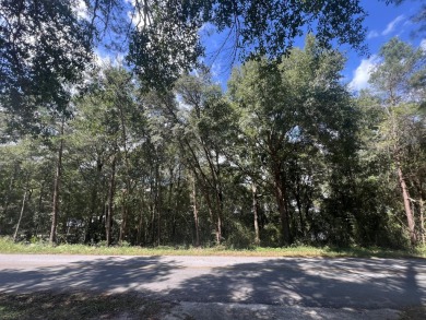 Juniper Lake Lot For Sale in Defuniak Springs Florida