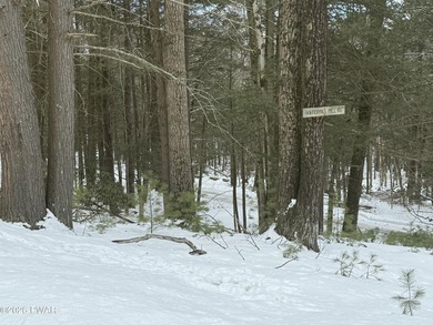 Lake Wallenpaupack Lot For Sale in Select One Pennsylvania