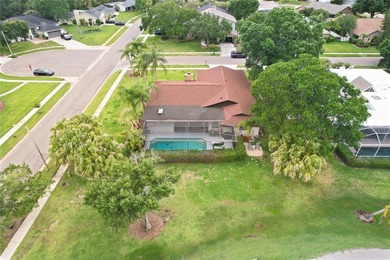 Beautiful 4-bedroom, 2-bathroom pool home on a corner lot with - photo 53