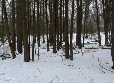 Build Your Dream Home Near Lake Wallenpaupack!Don't miss this - photo 3