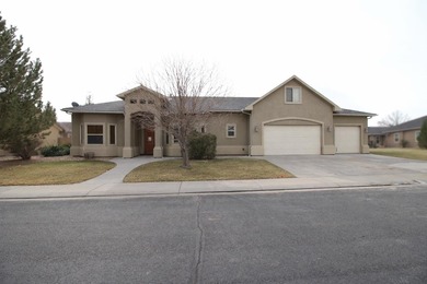 Colorado River Home For Sale in Grand Junction Colorado