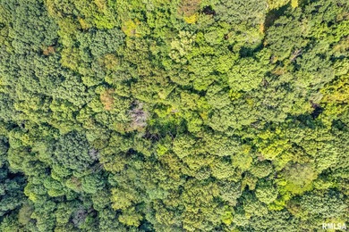 (private lake, pond, creek) Acreage For Sale in Chillicothe Illinois