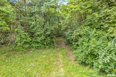 Secluded wooded acreage with private lake views in the IVC - photo 3