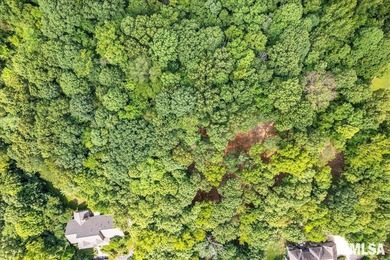 Secluded wooded acreage with private lake views in the IVC - photo 8