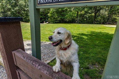 Tucked away in the meticulously maintained community of - photo 18