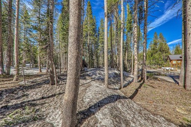 Build Your Serene Lakes Dream-Flat Lot, Walk to Lakes, Minutes - photo 7