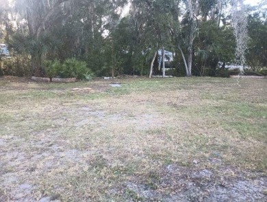 **PRICE IMPROVEMENT** HUGE LOT, AMAZING LOCATION!! Nearly 3/4 of - photo 28