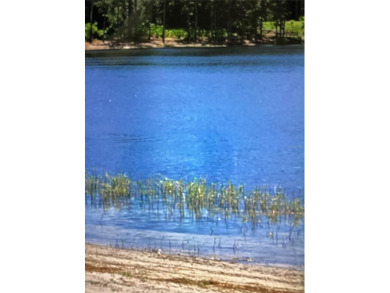 Silver Lake - Marion County Lot For Sale in Ocklawaha Florida