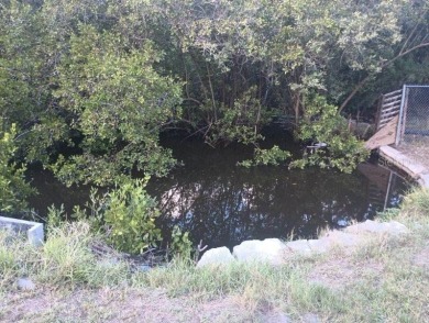 **PRICE IMPROVEMENT** HUGE LOT, AMAZING LOCATION!! Nearly 3/4 of - photo 31