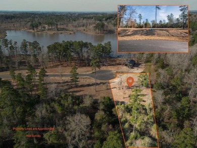 (private lake, pond, coastal) Lot For Sale in Hallsville Texas