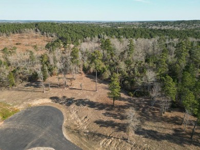 Looking for the perfect spot to build your East Texas retreat? - photo 2
