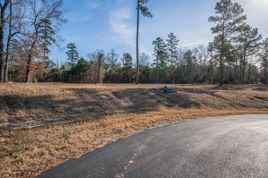 Looking for the perfect spot to build your East Texas retreat? - photo 3