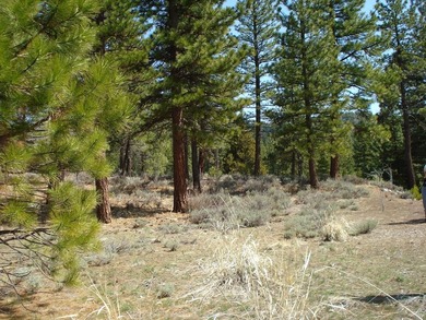 Nestled within the exclusive, gated golf course community of - photo 4