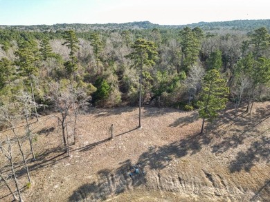 Looking for the perfect spot to build your East Texas retreat? - photo 5
